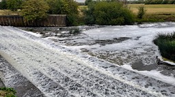 IMG_0910